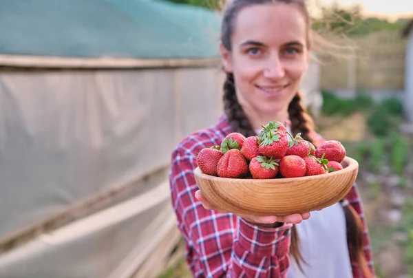 Organic eco food agriculture concept. Female holding wood dish with berries and pick up strawberry . High quality photo