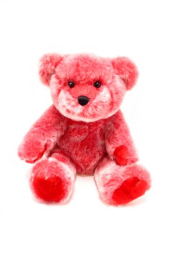 Beyaz bir arka plan üzerinde oturan yumuşak kırmızı oyuncak ayı