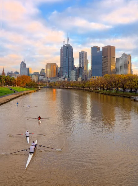 Rowers on the yarra river — Stock Photo, Image