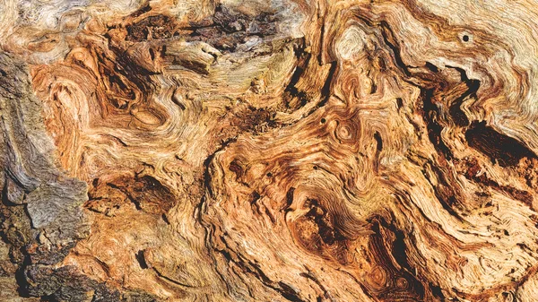 Curly wood grain — Stock Photo, Image