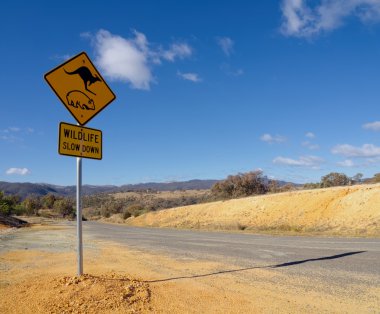 typical Australian outback