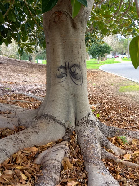 Angry tree — Stock Photo, Image