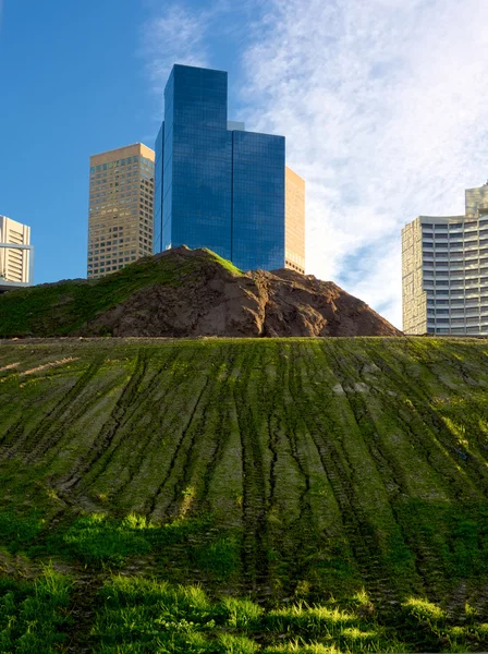 Rising from the earth — Stock Photo, Image