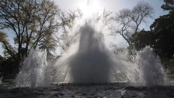 Backlit fountain — Stock Video