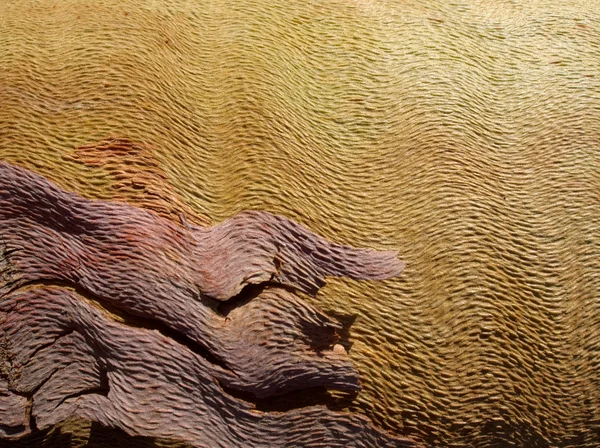 巻き毛の樹皮 — ストック写真