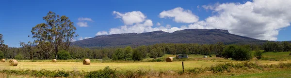 Hö bails — Stockfoto