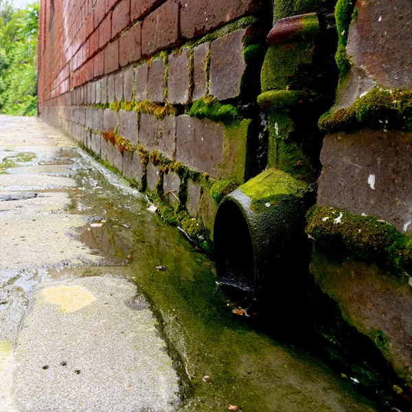 Mossy downpipe — Stockfoto