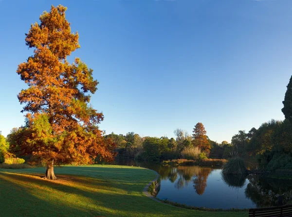 Melbourne on a autumn morning — Stock Photo, Image