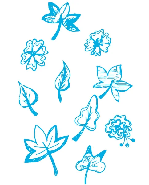 Dibujo Línea Con Una Pluma Flores Azules Hojas Tinta Abstracción — Foto de Stock