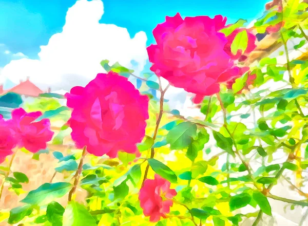 Jasně Karmínové Růže Zeleném Keři Proti Modré Obloze Akrylové Skvrny — Stock fotografie