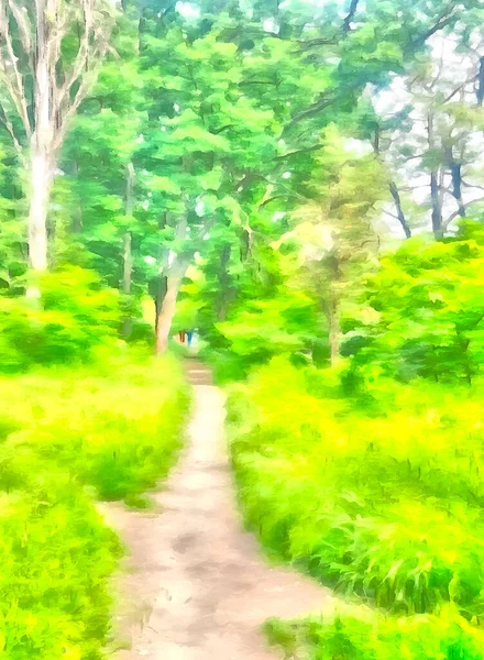 Path Middle Green Summer Forest Watercolor Abstraction — стоковое фото