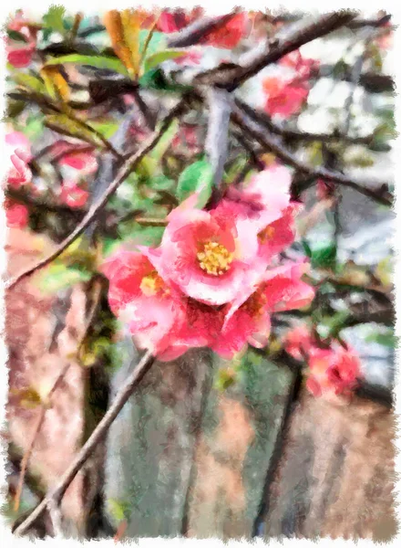 Розовые Цветы Ветке Акварели Стилизации — стоковое фото