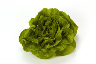 salata