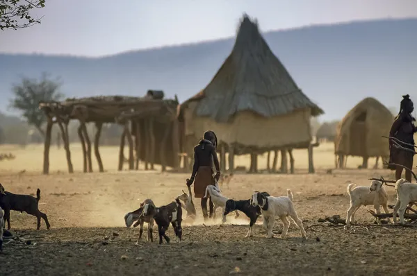 Namibia Himba aldea — Foto de Stock