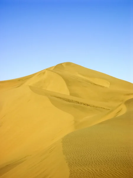 Namíbiai sivatagban — Stock Fotó