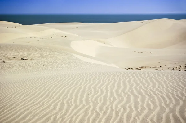 Deserto della Namibia — Foto Stock