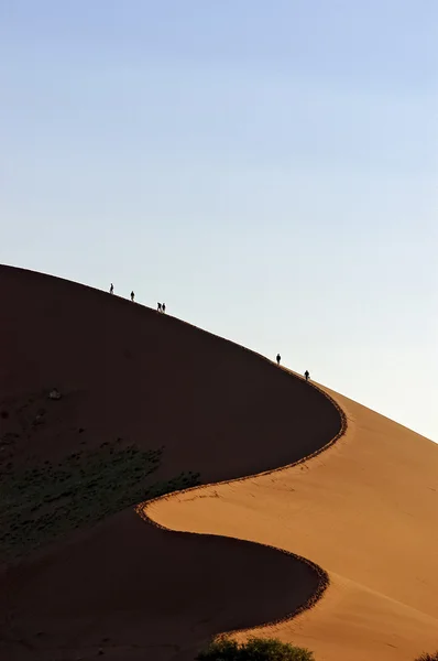 Parco Namibia Naukluft — Foto Stock