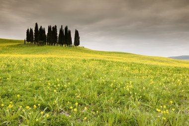 İtalya Toskana Val d'Orcia