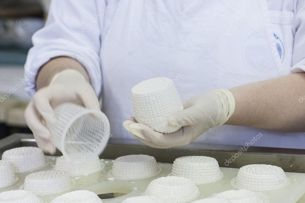 Cheese goat factory Stock Photo by ©operafoto 26318491