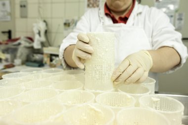 peynir fabrikası
