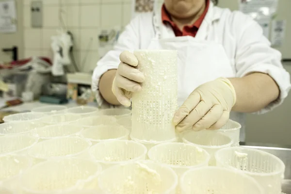 Cheese factory — Stock Photo, Image