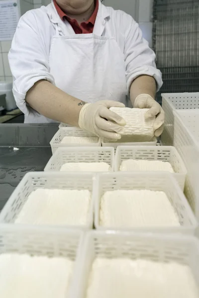 Fabrica de brânză — Fotografie, imagine de stoc