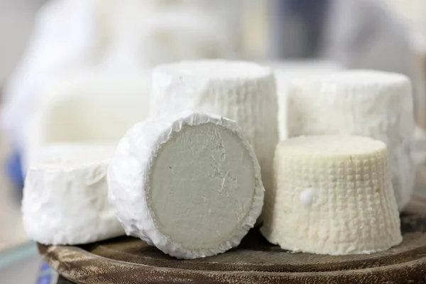 白いチーズ ヤギ工場 — ストック写真