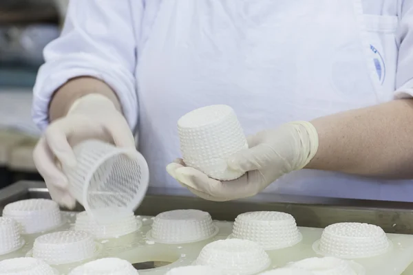 Cheese factory — Stock Photo, Image