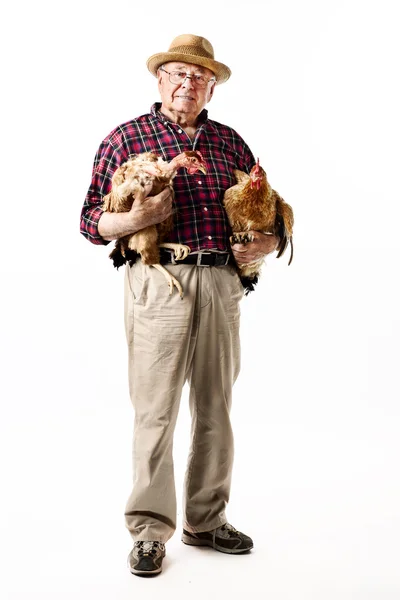 Фермер с курицей Стоковая Картинка