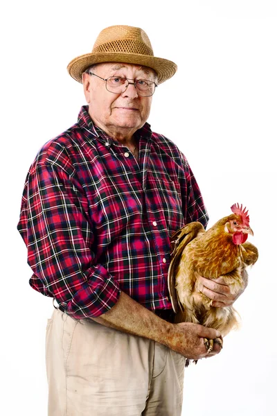 Boer met kip Stockfoto