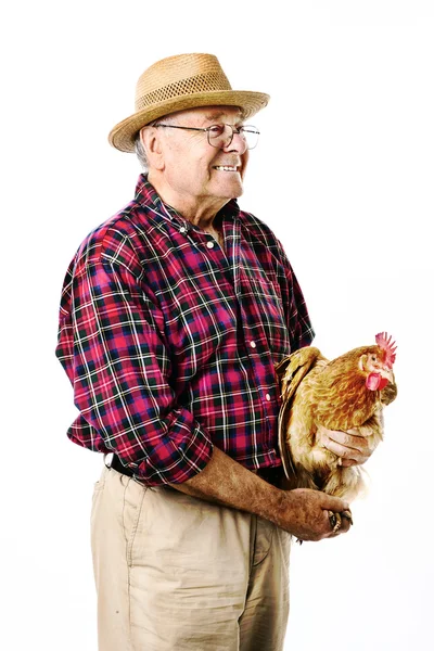 닭고기와 농부 스톡 이미지