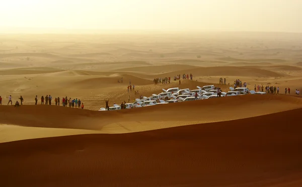 SUVs descansando no deserto Safari Imagem De Stock