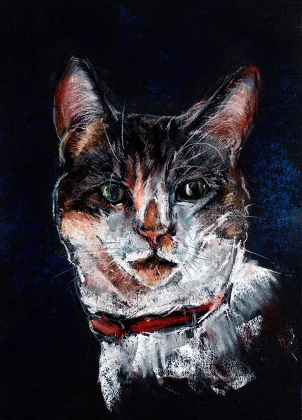 Head Cat Black Background Pastel Drawing — Stock Photo, Image