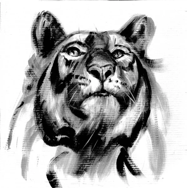 Tiger Head Acrylic Graphics — 图库照片