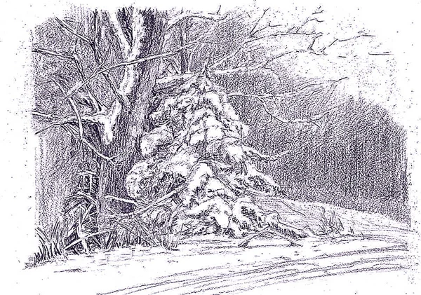 Dibujo Lápiz Sobre Papel Bosque Invierno — Foto de Stock