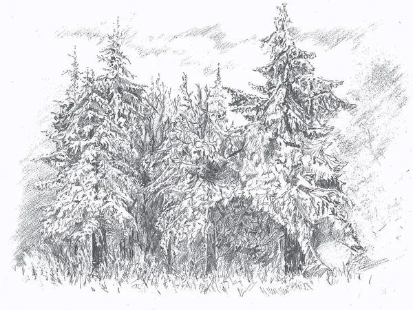 Pencil Drawing Paper Winter Forest — стоковое фото