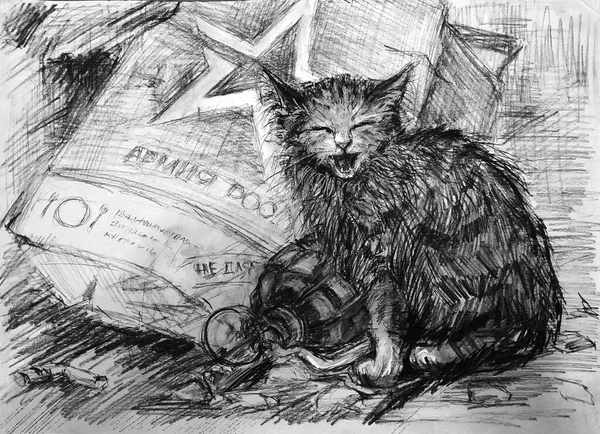 Война Украине Котёнок Грязный Голодный Российская Граната Сухой Рацион — стоковое фото