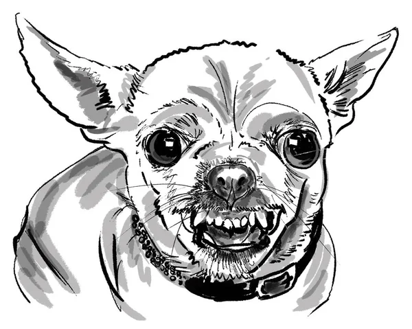 Малюнок Розлюченого Гавкаючого Собаки Графічне Мистецтво — стокове фото