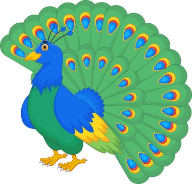 Beyaz arka planda izole edilmiş şirin tavus kuşu çizgi filmi.