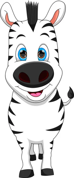 Cartoon Niedliches Zebra Auf Weißem Hintergrund — Stockvektor