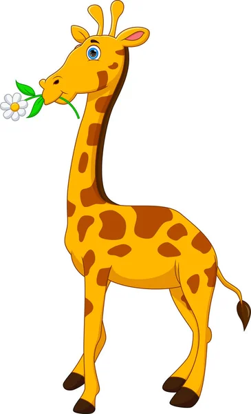 Cartoon Cute Giraffe White Background — Stock Vector