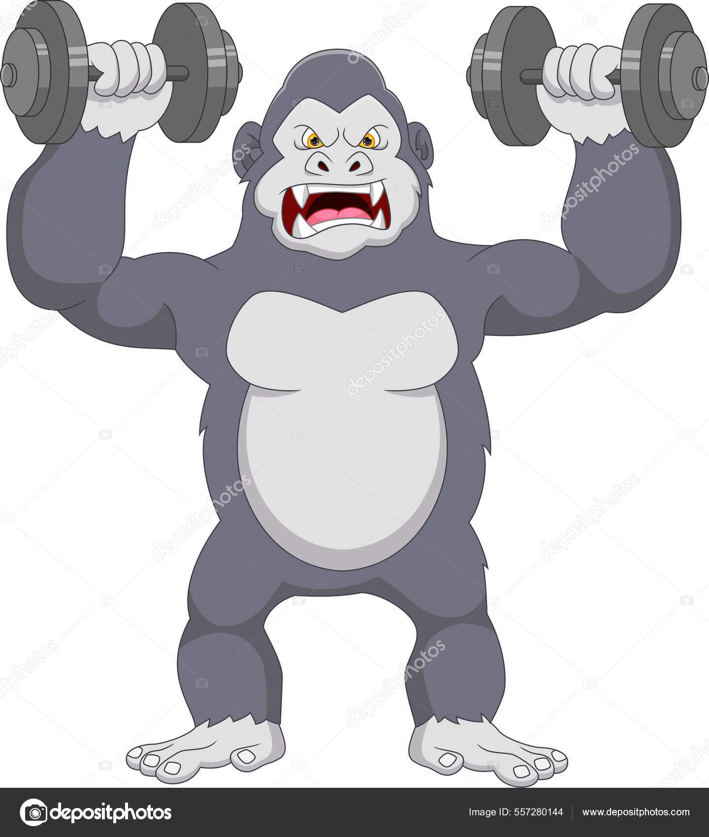 Les meilleurs exercices avec haltères - Blog Gorilla Sports