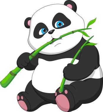 Tatlı panda bambu yiyor.