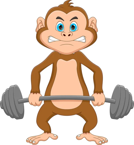 白い背景に重量挙げの猿の漫画 — ストックベクタ