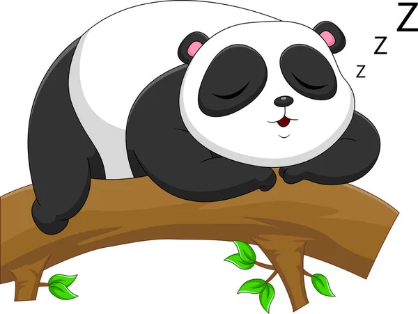 Rajzfilm Panda Alszik Egy Fán — Stock Vector
