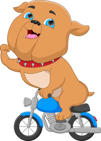 Desenho Animado Bulldog Montando Uma Motocicleta —  Vetores de Stock