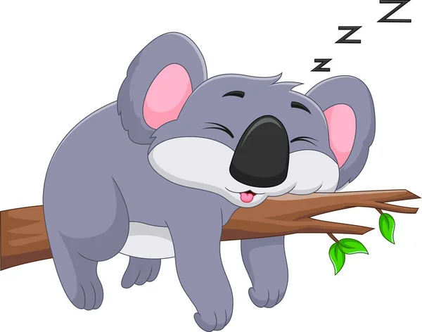 Cute Koala Sleeping Tree — Stock Vector