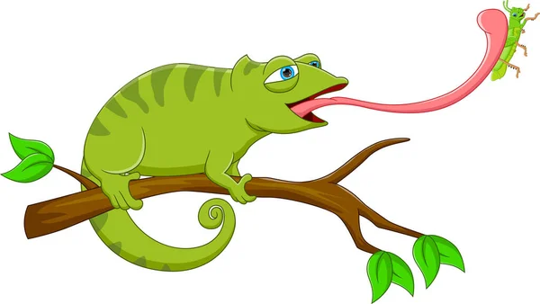 Camaleón Dibujos Animados Captura Saltamontes Con Lengua — Archivo Imágenes Vectoriales