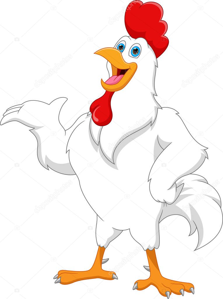 Cute chicken cartoon on white background