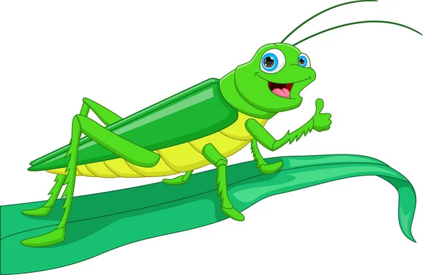 Cute Cartoon Grasshopper Thumbs — Archivo Imágenes Vectoriales
